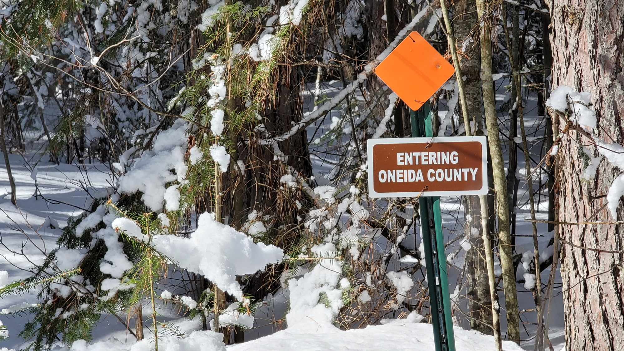 Kimball Creek trail entering Oneida county.